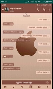 Apple iPhone GBwhatsapp Themes