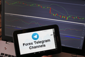 Free forex signals telegram link