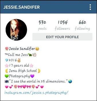 20+ Creative Instagram Bios With Emojis - 338 x 349 jpeg 23kB