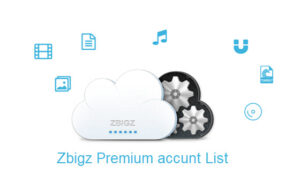 Zbigz Premium Account