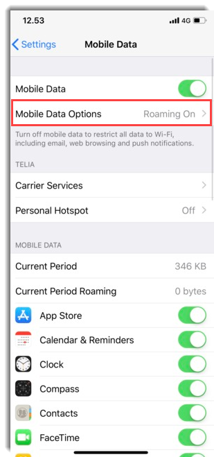 Enable Only 4G Mode iPhone X 3