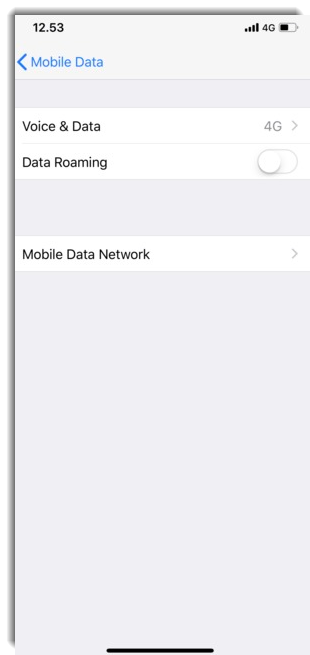Enable Only 4G Mode iPhone X 5