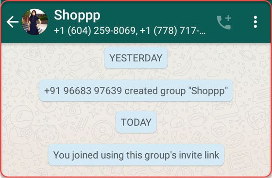 participant whatsapp group