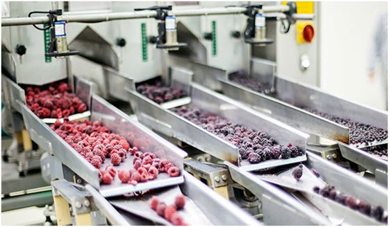 How to Save More Energy in Food Processing Plants