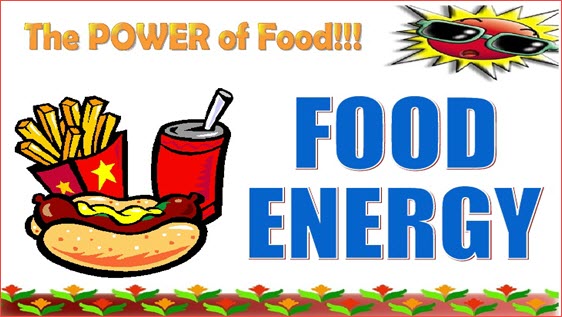 food energy