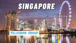 Singapore telegram group