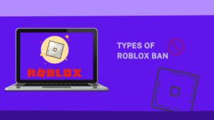 Types of roblox ban